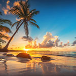 canacar.com blog