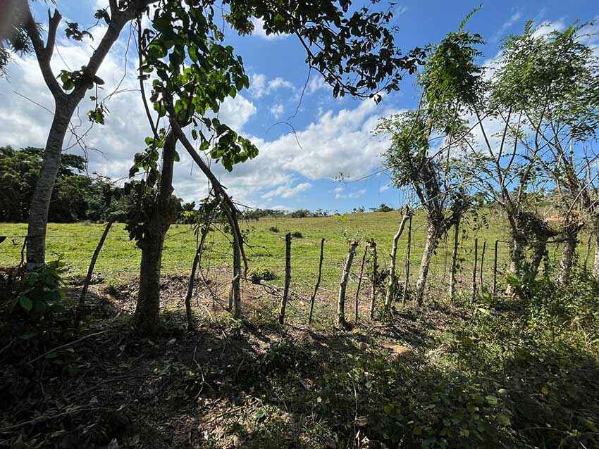 Best Punta Cana Zoos