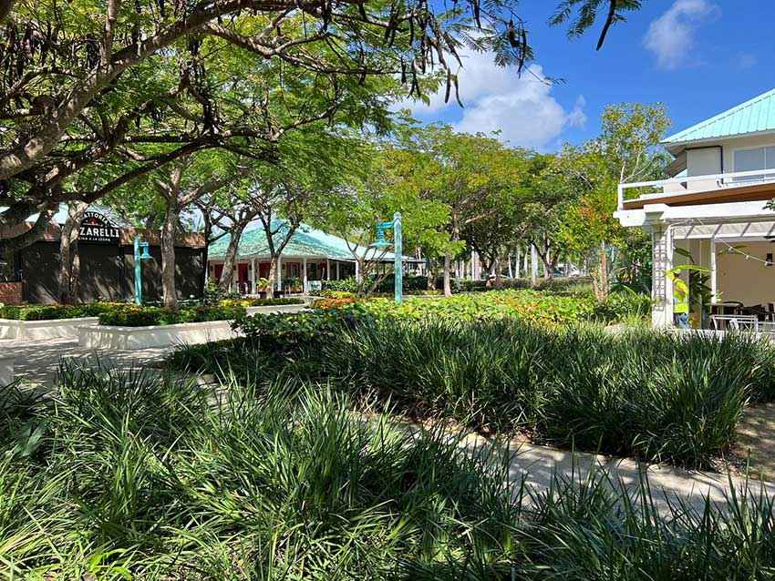 The Best Tourist Office in Punta Cana
